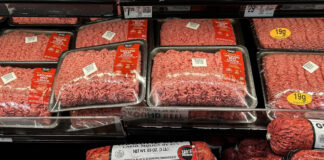 Gen Z men are eating ‘boy kibble,’ the human equivalent to dog food, to load up on protein cheaply Gen Z men are eating ‘boy kibble,’ the human equivalent to dog food, to load up on protein cheaply