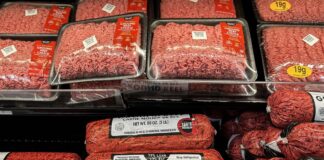 Gen Z men are eating ‘boy kibble’, the human equivalent to dog food, to load up on protein cheaply Gen Z men are eating ‘boy kibble’, the human equivalent to dog food, to load up on protein cheaply