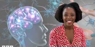 Simple habits that could help keep your brain healthy Simple habits that could help keep your brain healthy