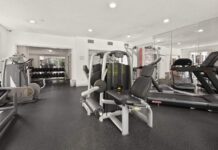 The Role of Structured Fitness Environments in Building Healthy Habits The Role of Structured Fitness Environments in Building Healthy Habits