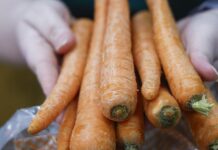 The transformative power of healthier eating habits The transformative power of healthier eating habits