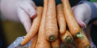 The transformative power of healthier eating habits The transformative power of healthier eating habits