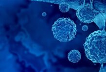 Tiny bubbles, big breakthrough: cracking cancer’s “fortress” | CWRU Newsroom Tiny bubbles, big breakthrough: cracking cancer’s “fortress” | CWRU Newsroom