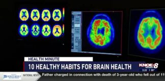 10 Healthy Habits for Brain Health 10 Healthy Habits for Brain Health
