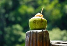 5 seemingly healthy habits that may harm your kidneys 5 seemingly healthy habits that may harm your kidneys