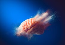 Breakthrough Alzheimer’s Drug Rewires the Brain Instead of Just Clearing Plaques Breakthrough Alzheimer’s Drug Rewires the Brain Instead of Just Clearing Plaques