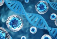 Breakthroughs in Cell and Gene Therapy Breakthroughs in Cell and Gene Therapy