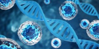 Breakthroughs in Cell and Gene Therapy Breakthroughs in Cell and Gene Therapy