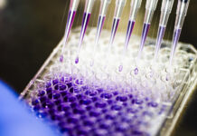 Cancer Treatment Could Get Faster with Genetic Engineering rows of pipettes dispensing purple liquid into rows of test tubes