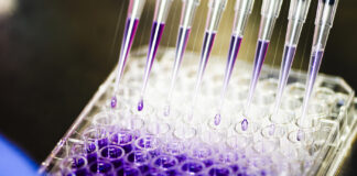 Cancer Treatment Could Get Faster with Genetic Engineering rows of pipettes dispensing purple liquid into rows of test tubes