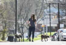 Clinical trials offer hope for multiple sclerosis treatment breakthrough Building the Valley: Owner of Springdale restaurant builds bonds on ‘Calabrian Girl Tours’