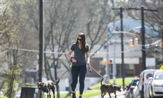 Clinical trials offer hope for multiple sclerosis treatment breakthrough Building the Valley: Owner of Springdale restaurant builds bonds on ‘Calabrian Girl Tours’