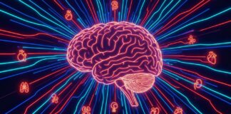 Healthy Habits May Slash Dementia Risk for Those with Diabetes A minimalist neon outline of a human brain against a dark background, with glowing lines pulsing to represent neural activity, conveying the idea of brain health and electrical signals.