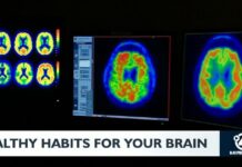 Healthy habits for your brain Healthy habits for your brain