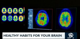 Healthy habits for your brain Healthy habits for your brain