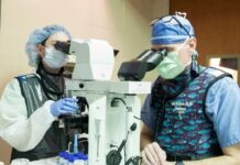 High blood pressure therapy works on rats, but how about humans? High blood pressure therapy works on rats, but how about humans?