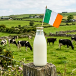 High protein, affordability and clean label: Food trends in Ireland High protein, affordability and clean label: Food trends in Ireland