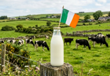 High protein, affordability and clean label: Food trends in Ireland High protein, affordability and clean label: Food trends in Ireland
