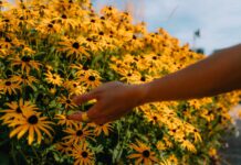 How Romanticizing Everyday Moments Can Make Even the Most Ordinary Day Feel Special How Romanticizing Everyday Moments Can Make Even the Most Ordinary Day Feel Special