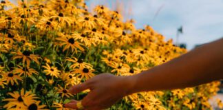 How Romanticizing Everyday Moments Can Make Even the Most Ordinary Day Feel Special How Romanticizing Everyday Moments Can Make Even the Most Ordinary Day Feel Special