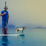 How human wellness trends are reshaping pet food innovation How human wellness trends are reshaping pet food innovation
