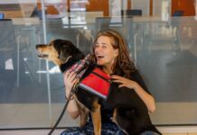 Managing stress during finals | Division of Student Life Managing stress during finals | Division of Student Life