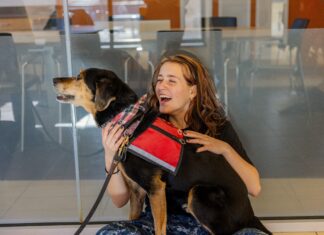 Managing stress during finals | Division of Student Life Managing stress during finals | Division of Student Life