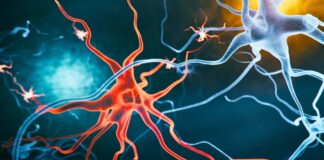 New Alzheimer’s Treatment Strategy Reverses Cognitive Decline in Mice : ScienceAlert New Alzheimer's Treatment Strategy Reverses Cognitive Decline in Mice : ScienceAlert