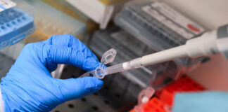 New Drugs Raise Hopes of Breakthrough In Pancreatic Cancer Treatment New drugs raise hopes of pancreatic cancer breakthrough.