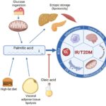 Quality versus quantity of fat in the diet affects development of diabetes Quality versus quantity of fat in the diet affects development of diabetes
