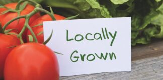 TOPS Nashville highlights portion control, weight-loss tips TOPS Nashville highlights portion control, weight-loss tips