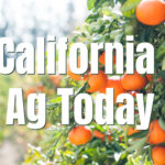 The 2026 School Nutrition Snapshot The 2026 School Nutrition Snapshot