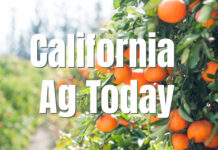 The 2026 School Nutrition Snapshot The 2026 School Nutrition Snapshot