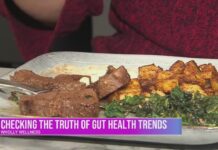 Truth or Just a Trend: Gut health with Wholly Wellness Truth or Just a Trend: Gut health with Wholly Wellness