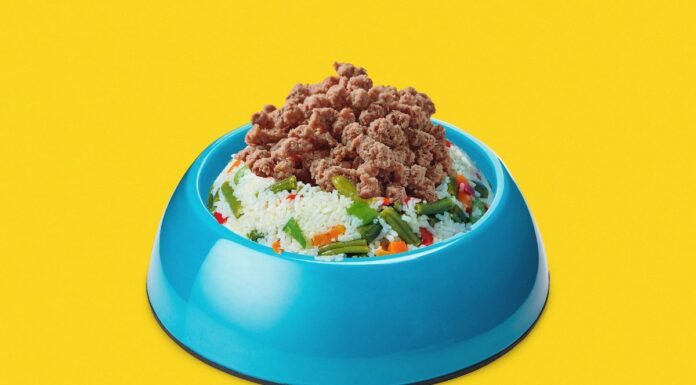 What is boy kibble? A look at TikTok’s manly food trend What is boy kibble? A look at TikTok’s manly food trend