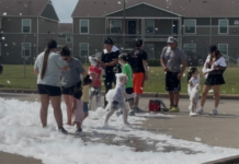 YMCA promotes healthy habits for families at annual Healthy Kids Day event. | Local News YMCA promotes healthy habits for families at annual Healthy Kids Day event. | Local News