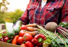 Biblical diet gains popularity as Christians seek Scripture-based nutrition Biblical diet gains popularity as Christians seek Scripture-based nutrition