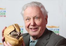 David Attenborough’s 4 Longevity Habits At Age 100 For A Healthy Life David Attenborough’s 4 Longevity Habits At Age 100 For A Healthy Life