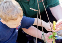 Gardens help children thrive, encourage healthy habits Gardens help children thrive, encourage healthy habits