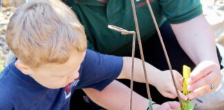 Gardens help children thrive, encourage healthy habits Gardens help children thrive, encourage healthy habits