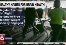 Healthy habits for brain health Healthy habits for brain health