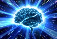 Scientists Say Cognitive Decline Isn’t Inevitable — Your Brain Can Improve at Any Age Neuroscience Brain Head Human Mental Idea Mind