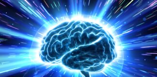 Scientists Say Cognitive Decline Isn’t Inevitable — Your Brain Can Improve at Any Age Neuroscience Brain Head Human Mental Idea Mind