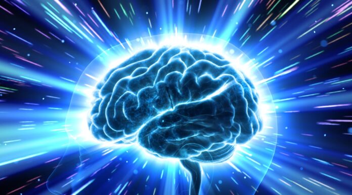 Scientists Say Cognitive Decline Isn’t Inevitable — Your Brain Can Improve at Any Age Neuroscience Brain Head Human Mental Idea Mind
