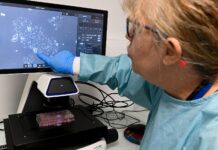 Why these treatments for one of the deadliest cancers are stirring such hope Why these treatments for one of the deadliest cancers are stirring such hope
